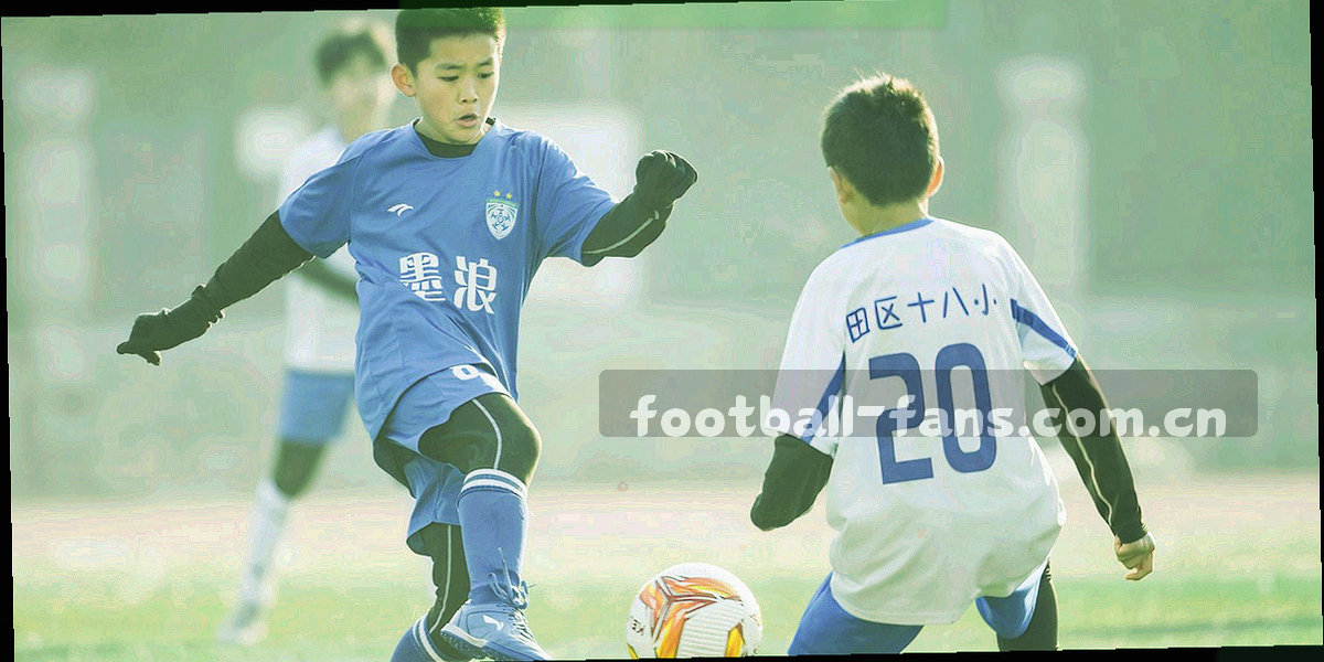 以横向色带表示安卓 9 到 14 六个系统适配区间的抽象图形
